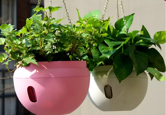 成(chéng)都(dōu)裝修設計公司