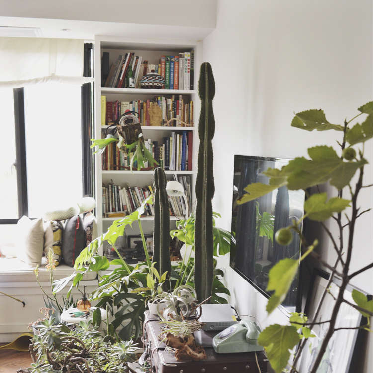 裝修心态擺正有多重要 成(chéng)都(dōu)裝修公司推薦排名