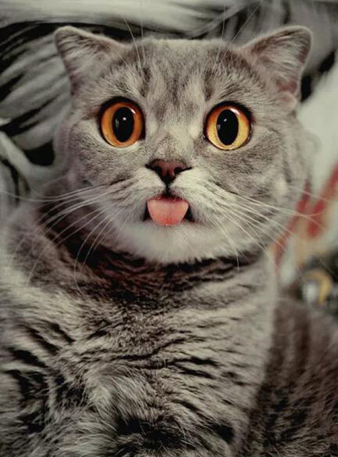 成(chéng)都(dōu)裝修公司推薦排名