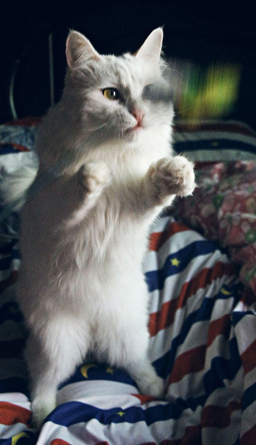 成(chéng)都(dōu)裝修公司推薦排名